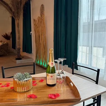 Loft Balneo Jacuzzi Wifi Clim Et Parking 莫吉奥