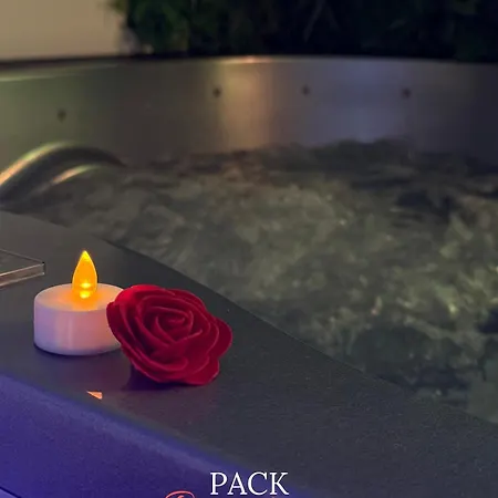 公寓 Loft Balneo Jacuzzi Wifi Clim Et Parking 莫吉奥