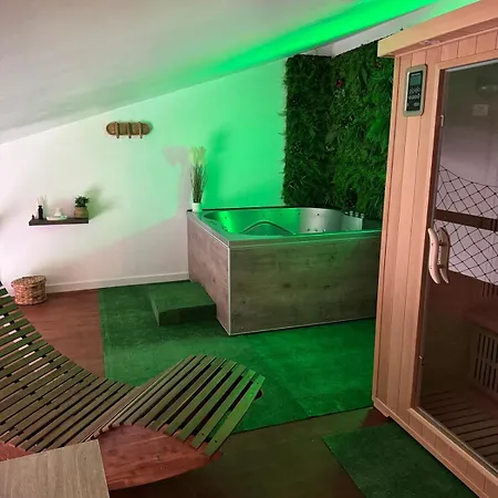 公寓 Loft Balneo Jacuzzi Wifi Clim Et Parking